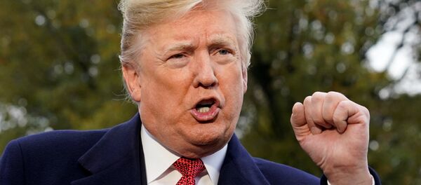 Donald Trump Paris'e hareketinden önce gazetecilere açıklama yaparken - Sputnik Türkiye