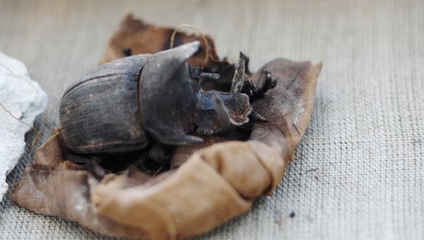 Antik Mısır'ın kutsal böceğinin mumyası bulundu - Sputnik Türkiye