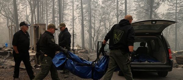 Kaliforniya orman yangını - Sputnik Türkiye