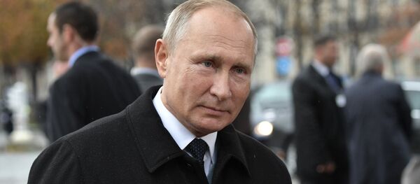 Vladimir Putin - Sputnik Türkiye