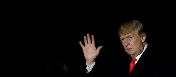 ABD Başkanı Donald Trump - Sputnik Türkiye