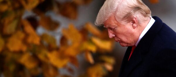 ABD Başkanı Donald Trump - Sputnik Türkiye