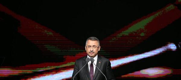 Fuat Oktay - Sputnik Türkiye