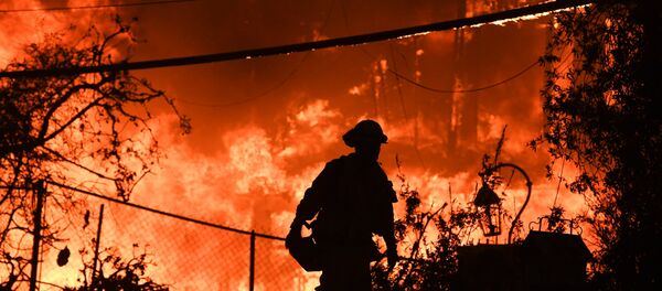 Kaliforniya yangını - Sputnik Türkiye