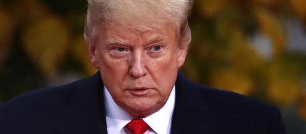 ABD Başkanı Donald Trump - Sputnik Türkiye