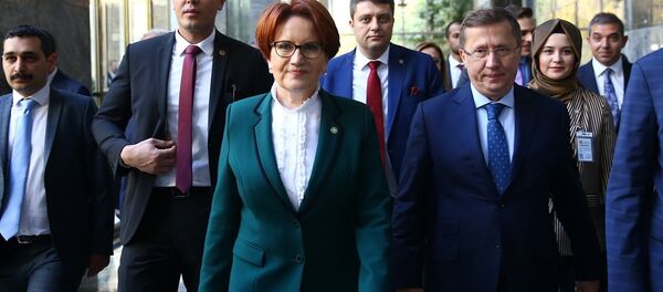 Meral Akşener Meral Akşener - Sputnik Türkiye