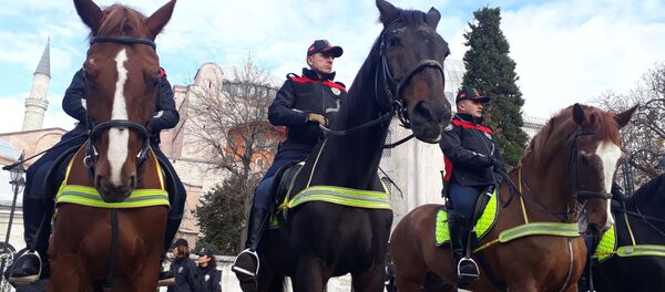 atlı polis - Sputnik Türkiye