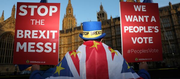 Londra'da parlamento önünde protesto düzenleyen Brexit karşıtları, ikinci referandum istiyor. - Sputnik Türkiye