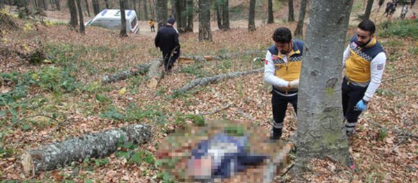 Ormanda kestiği ağaç ölümüne neden oldu - Sputnik Türkiye