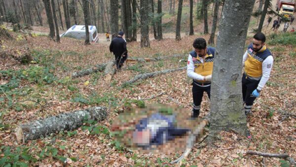 Ormanda kestiği ağaç ölümüne neden oldu - Sputnik Türkiye