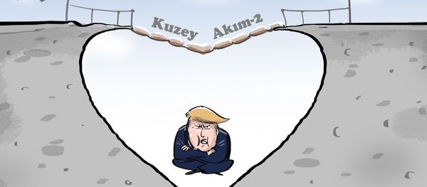 Karikatür - Sputnik Türkiye