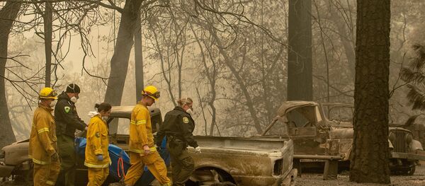 kaliforniya yangın - Sputnik Türkiye