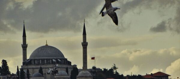 Yavuz Selim Camii - Sputnik Türkiye