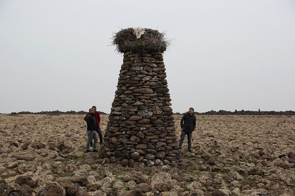 ‘Kuşçu’ denilen Mehmet Salih Arslan leylekler için yaptığı taştan kuleler - Sputnik Türkiye