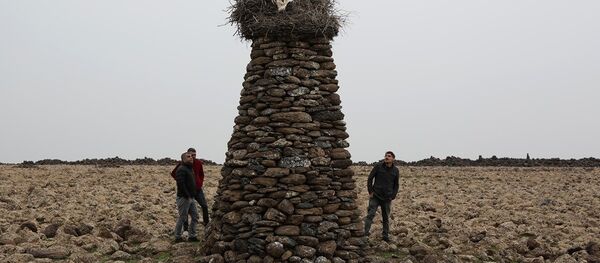 ‘Kuşçu’ denilen Mehmet Salih Arslan leylekler için yaptığı taştan kuleler - Sputnik Türkiye