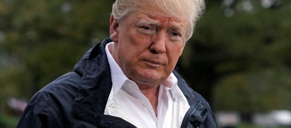 ABD Başkanı Donald Trump - Sputnik Türkiye