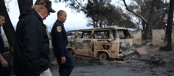 ABD Başkanı Donald Trump - Sputnik Türkiye