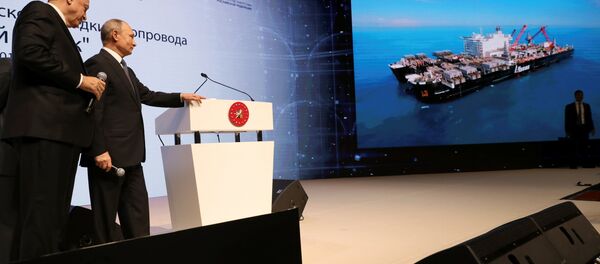 Rusya lideri Vladimir Putin- Cumhurbaşkanı Recep Tayyip Erdoğan - Sputnik Türkiye