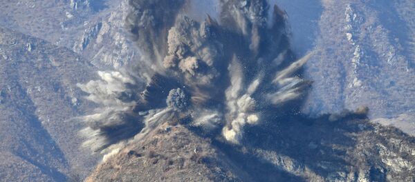 Kuzey Kore, sınırdaki 10 nöbet noktasını imha etti - Sputnik Türkiye