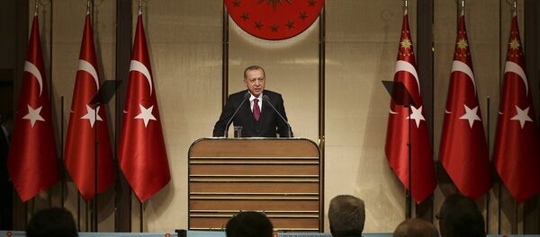 Recep Tayyip Erdoğan - Sputnik Türkiye