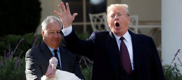 Beyaz Saray'da Şükran Günü etkinlikleri düzenlendi: ABD Başkanı'nın geleneksel hindi affetme töreninde Trump'ın hareketleri hindiden daha çok ilgi çekti. - Sputnik Türkiye