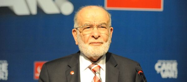 Temel Karamollaoğlu - Sputnik Türkiye