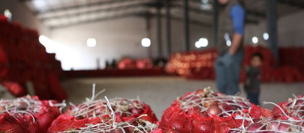 kuru soğan - Sputnik Türkiye