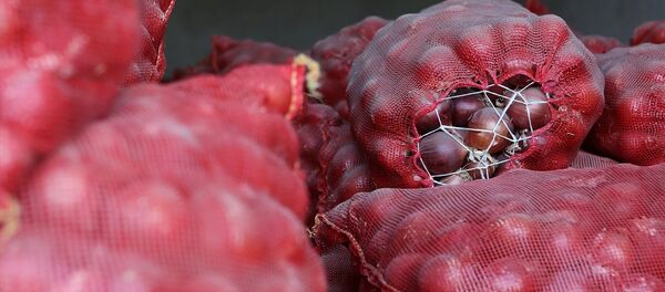 kuru soğan kuru soğan - Sputnik Türkiye