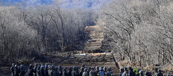 Güney Kore ve Kuzey Kore'nin sınırdaki Askerden Arındırılmış Bölgedeki (DMZ) yapılacak 3 kilometrelik kara yolu - Sputnik Türkiye