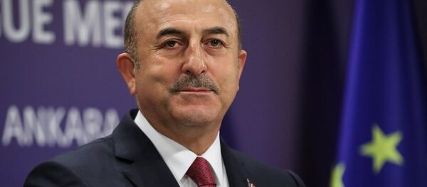 Mevlüt Çavuşoğlu - Sputnik Türkiye