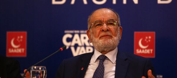 Temel Karamollaoğlu - Sputnik Türkiye