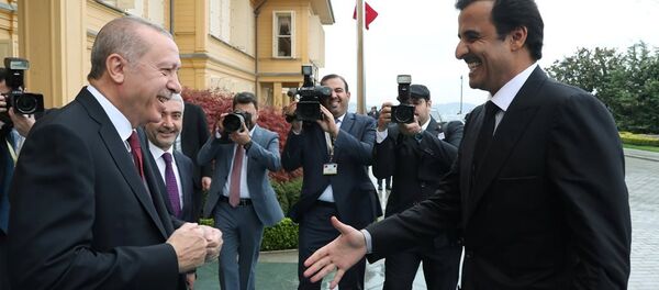 Türkiye Cumhurbaşkanı Recep Tayyip Erdoğan, Katar Emiri Şeyh Temim bin Hamed Al Sani - Sputnik Türkiye