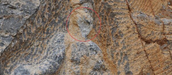 Herkül kaya kabartması Herkül kaya kabartması - Sputnik Türkiye