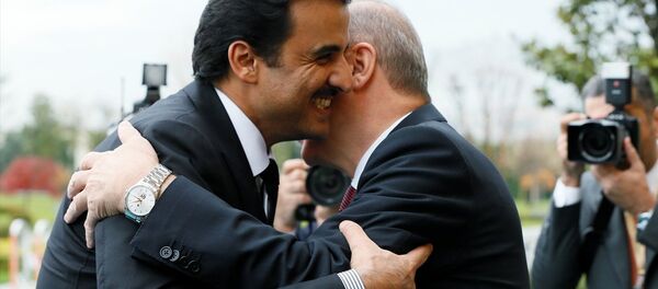 Türkiye-Katar Yüksek Stratejik Komite 4. Toplantısı, Cumhurbaşkanı Erdoğan ve Katar Emiri Şeyh Temim bin Hamed Al Sani'nin katılımıyla Vahdettin Köşkü'nde gerçekleşti. - Sputnik Türkiye