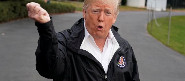 Donald Trump - Sputnik Türkiye