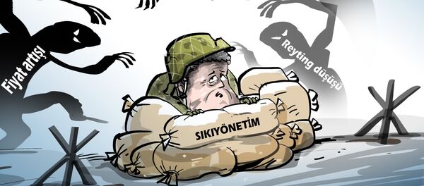 Karikatür - Sputnik Türkiye