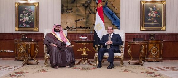 Suudi Arabistan Veliaht Prensi Muhammed bin Selman ile Mısır Cumhurbaşkanı Abdulfettah el Sisi Suudi Arabistan Veliaht Prensi Muhammed bin Selman ile Mısır Cumhurbaşkanı Abdulfettah el Sisi - Sputnik Türkiye