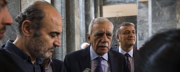 Ahmet Türk - Sputnik Türkiye