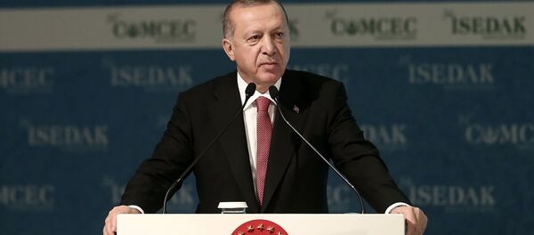 Recep Tayyip Erdoğan - Sputnik Türkiye