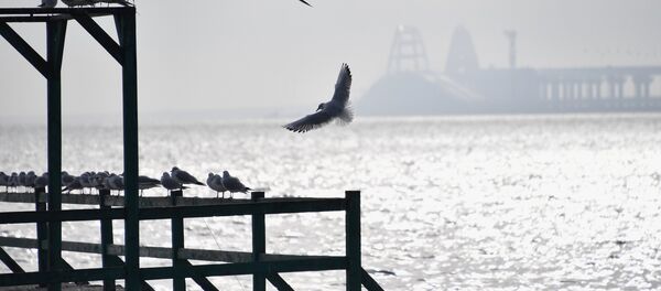 Kerç Boğazı - Sputnik Türkiye