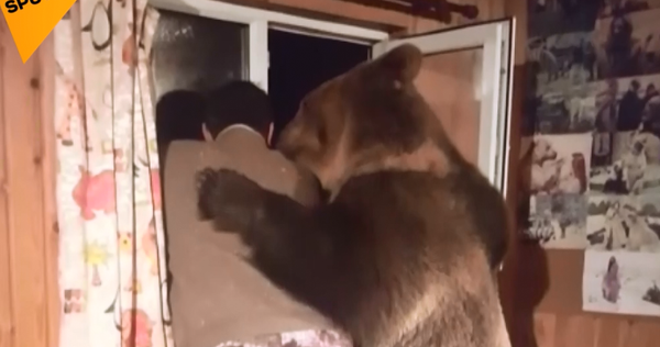 Video - Sputnik Türkiye