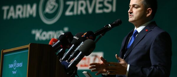 Bekir Pakdemirli - Sputnik Türkiye