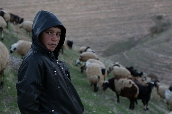 Yaklaşık 100 koyun ve keçiden oluşan bir sürüye bakan 13 yaşındaki Mervan - Sputnik Türkiye