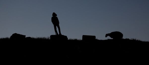 Yaklaşık 100 koyun ve keçiden oluşan bir sürüye bakan 13 yaşındaki Mervan - Sputnik Türkiye