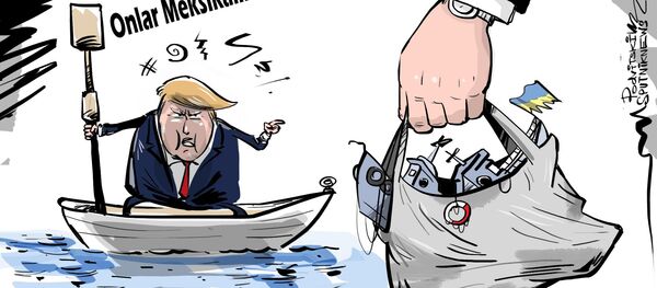 Karikatür - Sputnik Türkiye