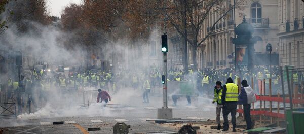 fransa- sarı yelekliler - Sputnik Türkiye