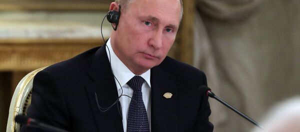 Vladimir Putin - Sputnik Türkiye