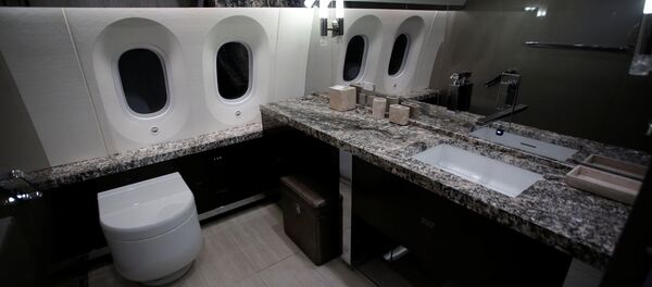 Obrador eski devlet başkanının lüks uçağı satışa çıkardı - Sputnik Türkiye