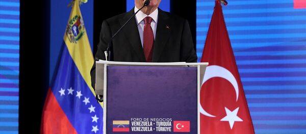 Cumhurbaşkanı Recep Tayyip Erdoğan - Sputnik Türkiye