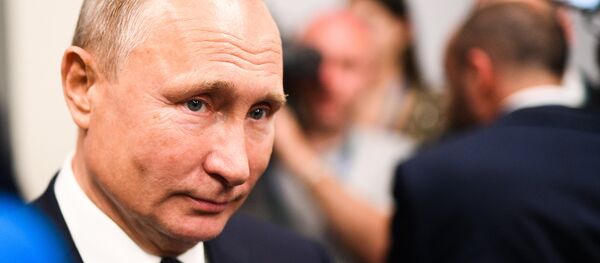 Rusya Devlet Başkanı Vladimir Putin - Sputnik Türkiye